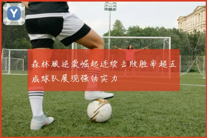 森林狼逆袭崛起连续击败胜率超五成球队展现强劲实力