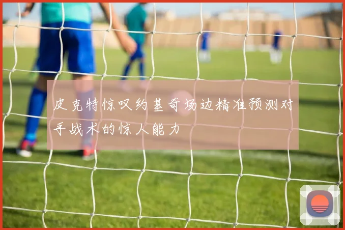 皮克特惊叹约基奇场边精准预测对手战术的惊人能力